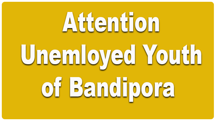 District Employment & Counselling Centre Bandipora, seeks applications from unemployed youth of the District