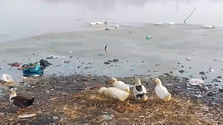 Once a fresh water lake “Khurwan Lake” now turns into a dumping yard in Sumbal Bandipora