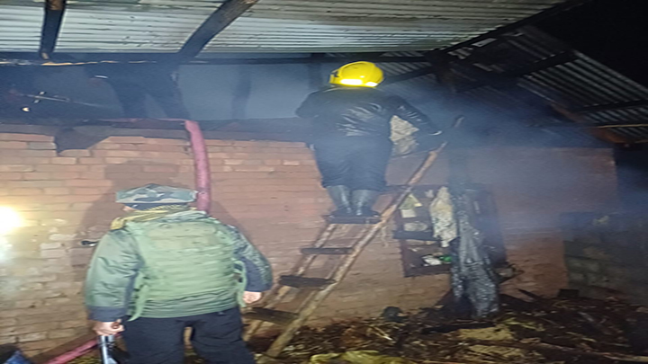 Two cows charred to death in Arampora, Sumbal