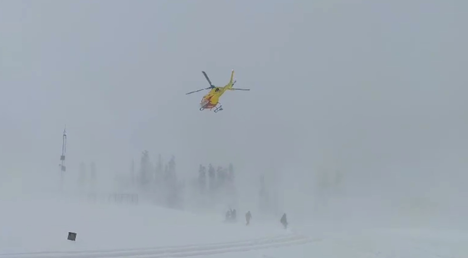 Gulmarg avalanche: Four Foreigners trapped, two rescued, tow still missing