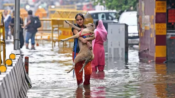 Delhi Rain Hits 88-Year High in June Rainfall; More Expected, Says IMD