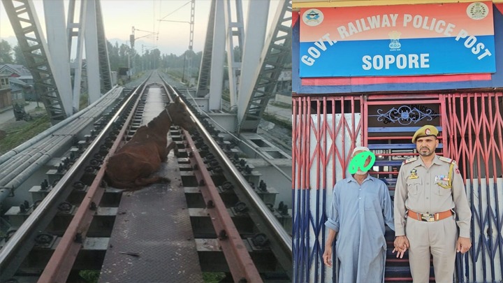 Sopore Railway Police Issues Stern Warning After Horse Rescued from Railway Bridge