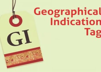 Seven J&K Products Secure GI Tag, 20 More in Pipeline