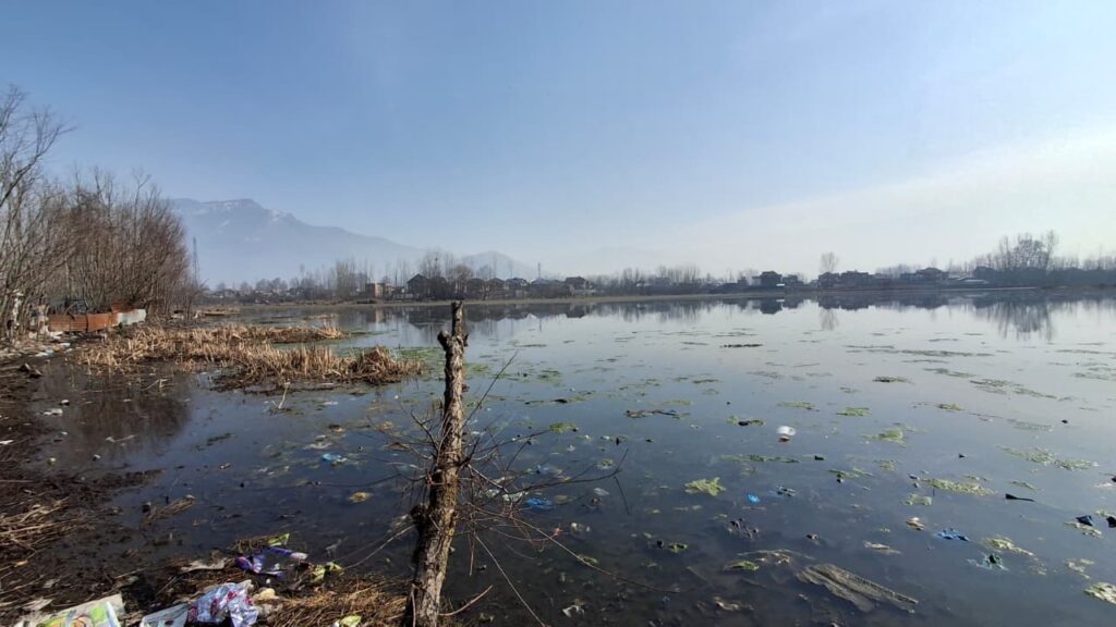 khurwan-sar-from-a-living-lake-to-a-dying-water-body