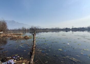 khurwan-sar-from-a-living-lake-to-a-dying-water-body
