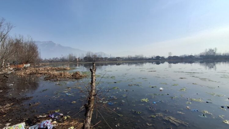 khurwan-sar-from-a-living-lake-to-a-dying-water-body