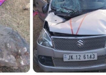Driver Dies After Vehicle Falls 50 Feet in J&K’s Poonch
