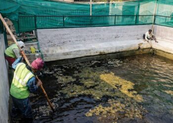 Environmental Group Intensifies Efforts to Restore Kashmir’s Water Bodies, Wantpora Spring Revived