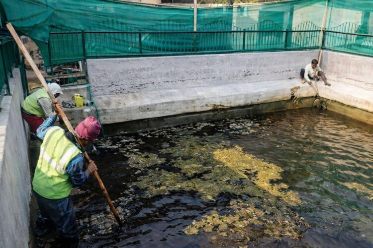 Environmental Group Intensifies Efforts to Restore Kashmir’s Water Bodies, Wantpora Spring Revived