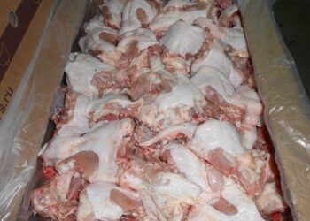 200 Kg Unlabelled Frozen Chicken Seized in South Kashmir