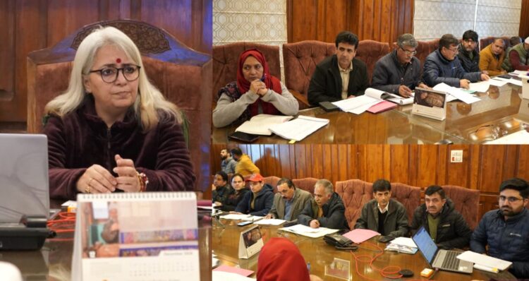 DC Bandipora Reviews District CAPEX Budget 2025–26; Stresses Timely Execution and Accountability