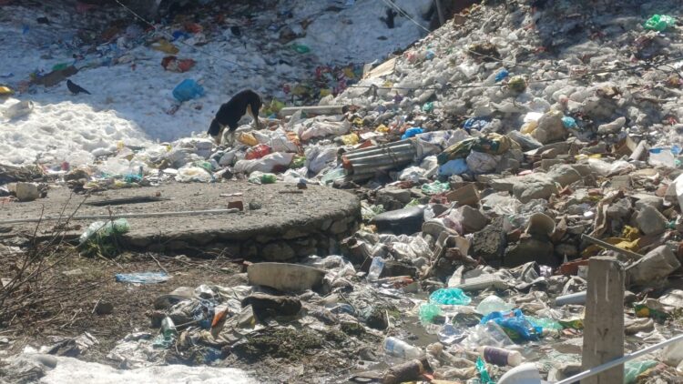 Sanitation gaps persist in Sonamarg despite ₹16 lakh contract, stray dog menace rises