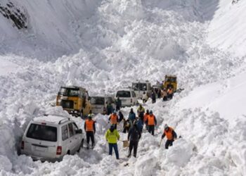 Five killed in Zojila avalanche, bodies retrieved, rescue continues for missing