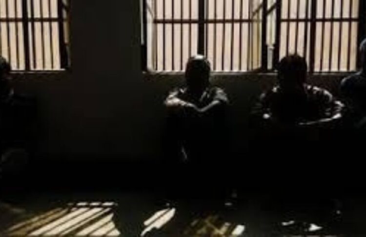 Four OGWs Arrested in Srinagar for Providing Logistic Support to Terrorists; Arms, Ammunition Recovered