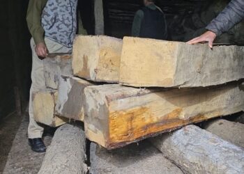 Pulwama Police Bust Illegal Timber Smuggling Racket in Sangerwani