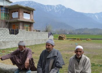 Rapid conversion of paddy fields raises food security concerns in Kashmir