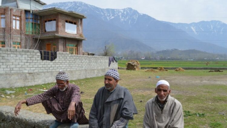 Rapid conversion of paddy fields raises food security concerns in Kashmir