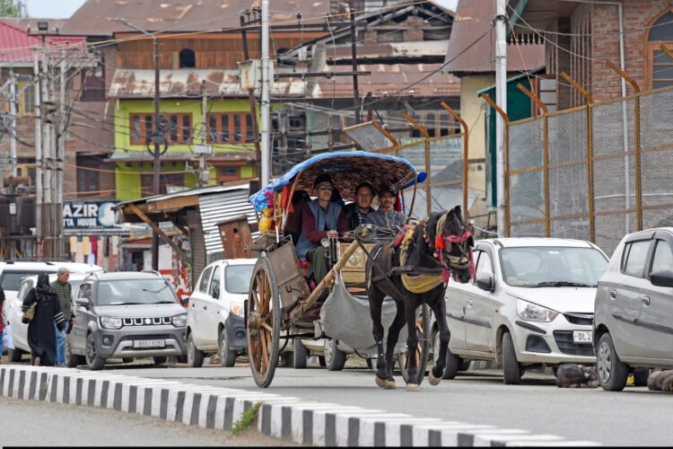 Tonga makes a comeback, reappears on Srinagar streets