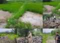 Heavy Flooding Wreaks Havoc in Khag; Villagers Demand Immediate Survey and Government Assistance